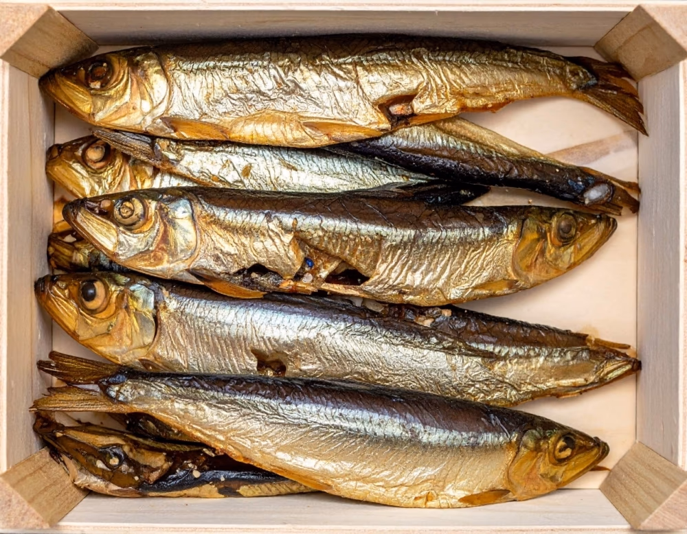 batch-fisch06