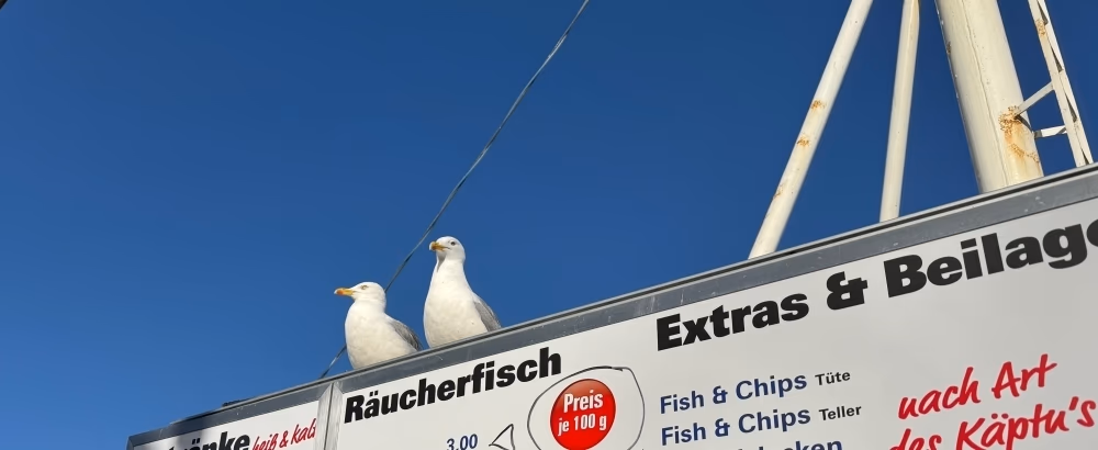 batch-meins1