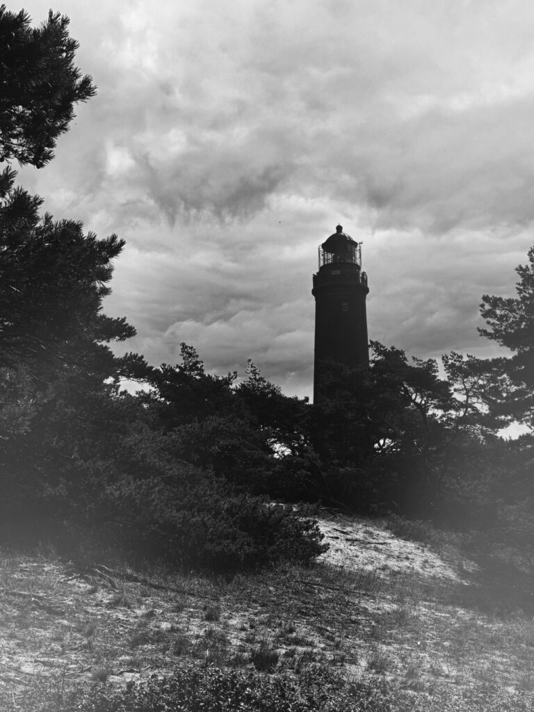 bw25-08-768x1024