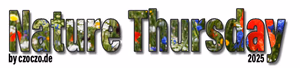 nature-thursday-2025